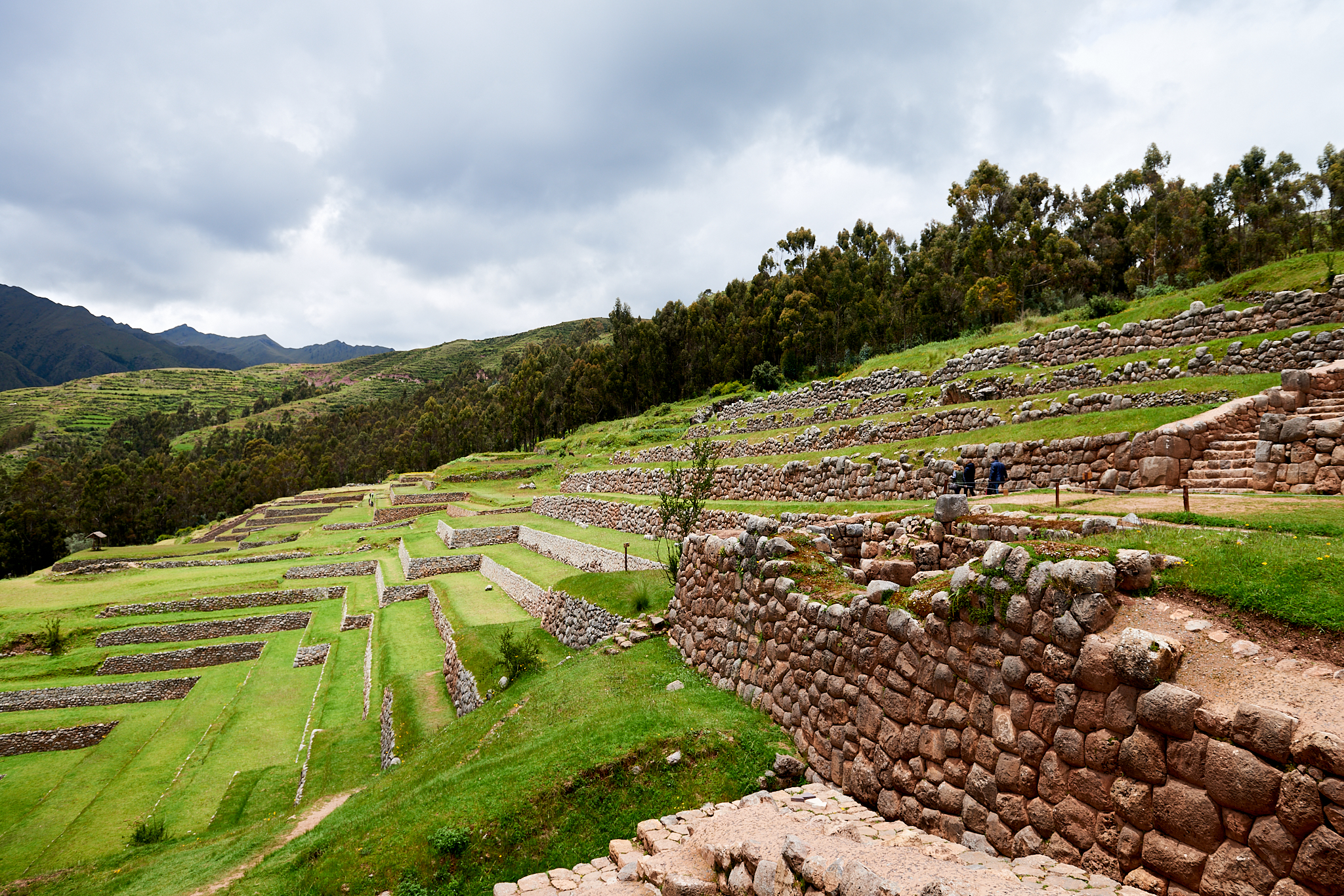 20200307 513 [페루] 신세로